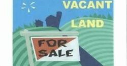 Antioch – 38824 N Sheridan Rd