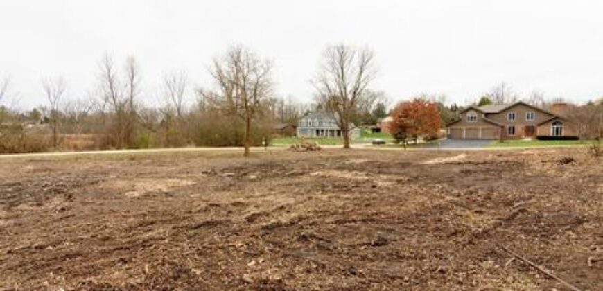 Barrington – 1011B S Cook St