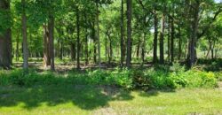 Gurnee – 17420  Pin Oak Ln  Lot 15