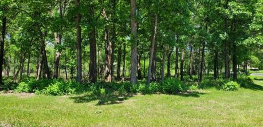 Gurnee – 17420  Pin Oak Ln  Lot 15