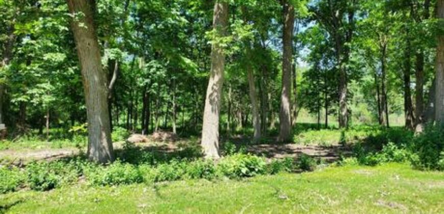 Gurnee – 17490  Pin Oak Ln  Lot 12