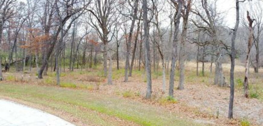 Gurnee – 17490  Pin Oak Ln  Lot 12