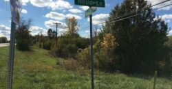 Hinsdale – 16W451  Hillside Ln
