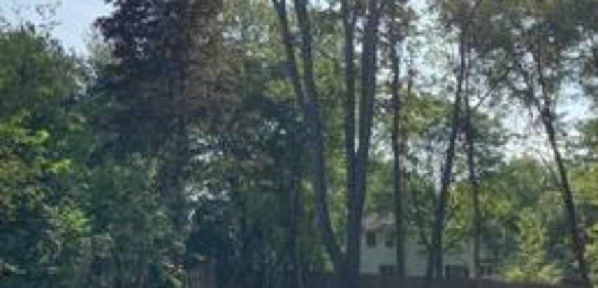 Lake Forest – 1175  Old Colony Rd