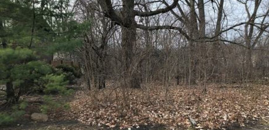 Lake Forest – 2  Fairview Ave