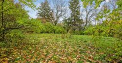 Lombard – 19w148  Rochdale Cir
