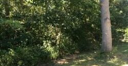 McHenry – 7501  Forest Oak Dr  Lot 26