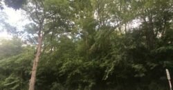 McHenry – 7501  Forest Oak Dr  Lot 26