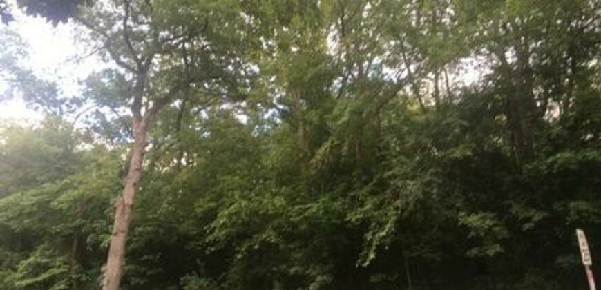 McHenry – 7501  Forest Oak Dr  Lot 26