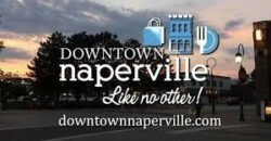 Naperville – 1033  Emerald Dr